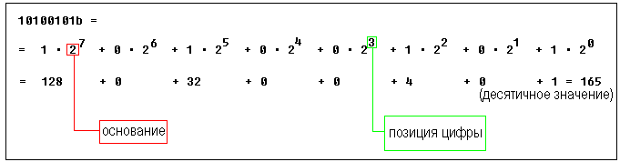 Двоичное число